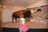 dsc_2792_fs_small.jpg
