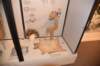 dsc_2804_fs_small.jpg