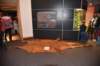 dsc_2823_fs_small.jpg