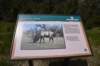 dsc_2876_fs_small.jpg