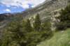 dsc_2881_fs_small.jpg