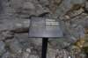 dsc_2895_fs_small.jpg