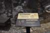 dsc_2898_fs_small.jpg