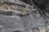 dsc_2907_fs_small.jpg