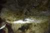 dsc_2924_fs_small.jpg