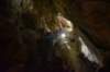 dsc_2930_fs_small.jpg