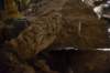 dsc_2940_fs_small.jpg