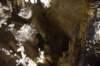 dsc_2941_fs_small.jpg