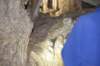 dsc_2964_fs_small.jpg
