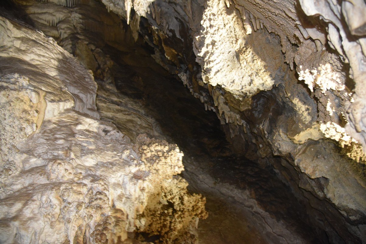 dsc_2983_fs.jpg