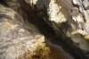 dsc_2983_fs_small.jpg