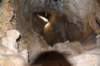 dsc_2987_fs_small.jpg