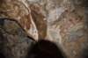 dsc_2988_fs_small.jpg