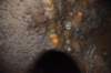 dsc_2993_fs_small.jpg