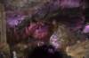 dsc_2995_fs_small.jpg