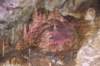dsc_2996_fs_small.jpg