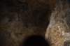 dsc_2998_fs_small.jpg