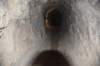 dsc_3000_fs_small.jpg