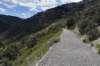 dsc_3005_fs_small.jpg