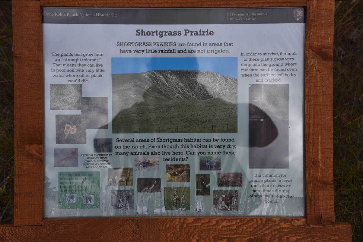 dsc_3175_fs.jpg
