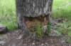dsc_3183_fs_small.jpg
