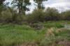 dsc_3196_fs_small.jpg