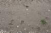 dsc_3207_fs_small.jpg