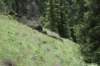 dsc_3269_fs_small.jpg
