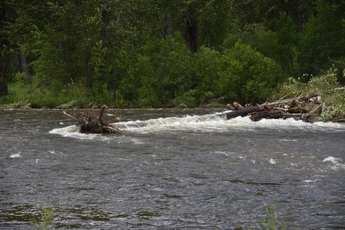 dsc_3278_fs.jpg