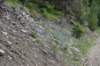dsc_3445_fs_small.jpg
