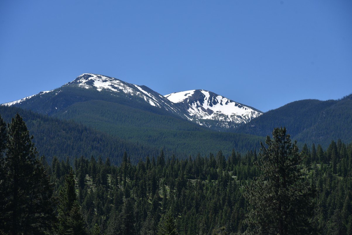 dsc_3616_fs.jpg