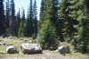 dsc_3733_fs_small.jpg
