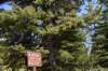dsc_3736_fs_small.jpg