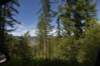 dsc_3741_fs_small.jpg