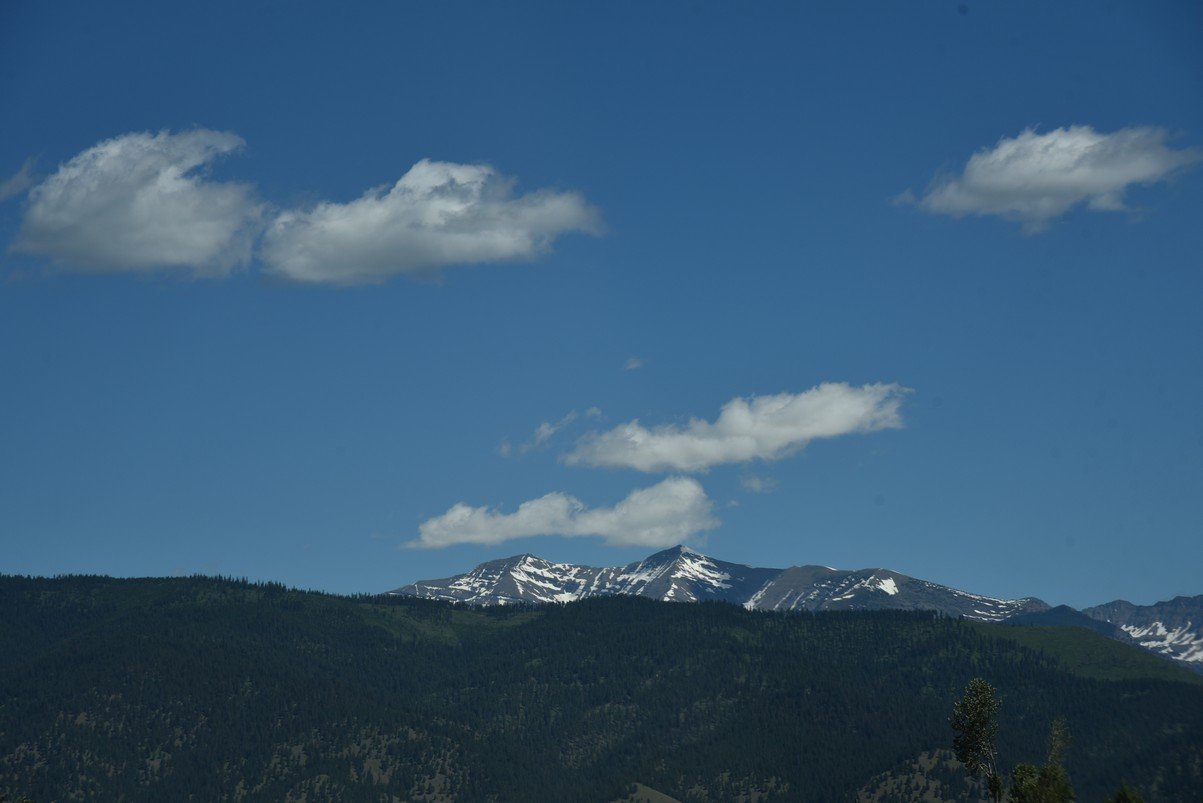 dsc_3800_fs.jpg