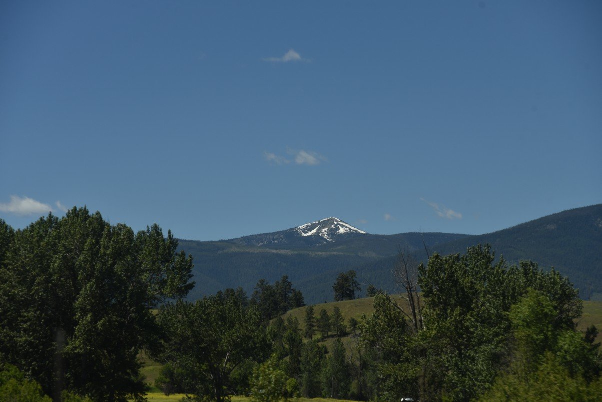 dsc_3819_fs.jpg