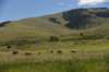 dsc_3826_fs_small.jpg
