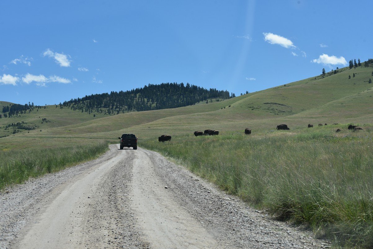 dsc_3864_fs.jpg