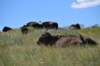 dsc_3866_fs_small.jpg