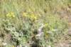 dsc_3921_fs_small.jpg