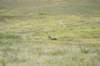 dsc_3953_fs_small.jpg
