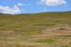 dsc_3954_fs_small.jpg