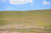 dsc_3955_fs_small.jpg