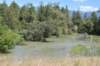 dsc_3956_fs_small.jpg