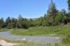 dsc_3961_fs_small.jpg