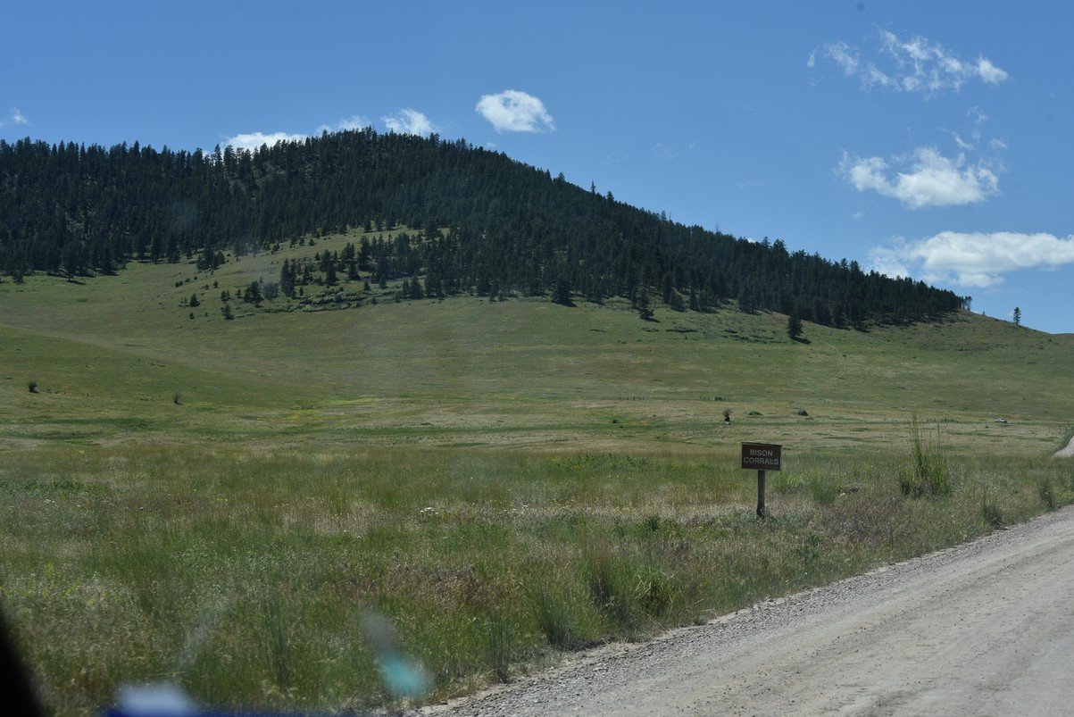 dsc_3963_fs.jpg