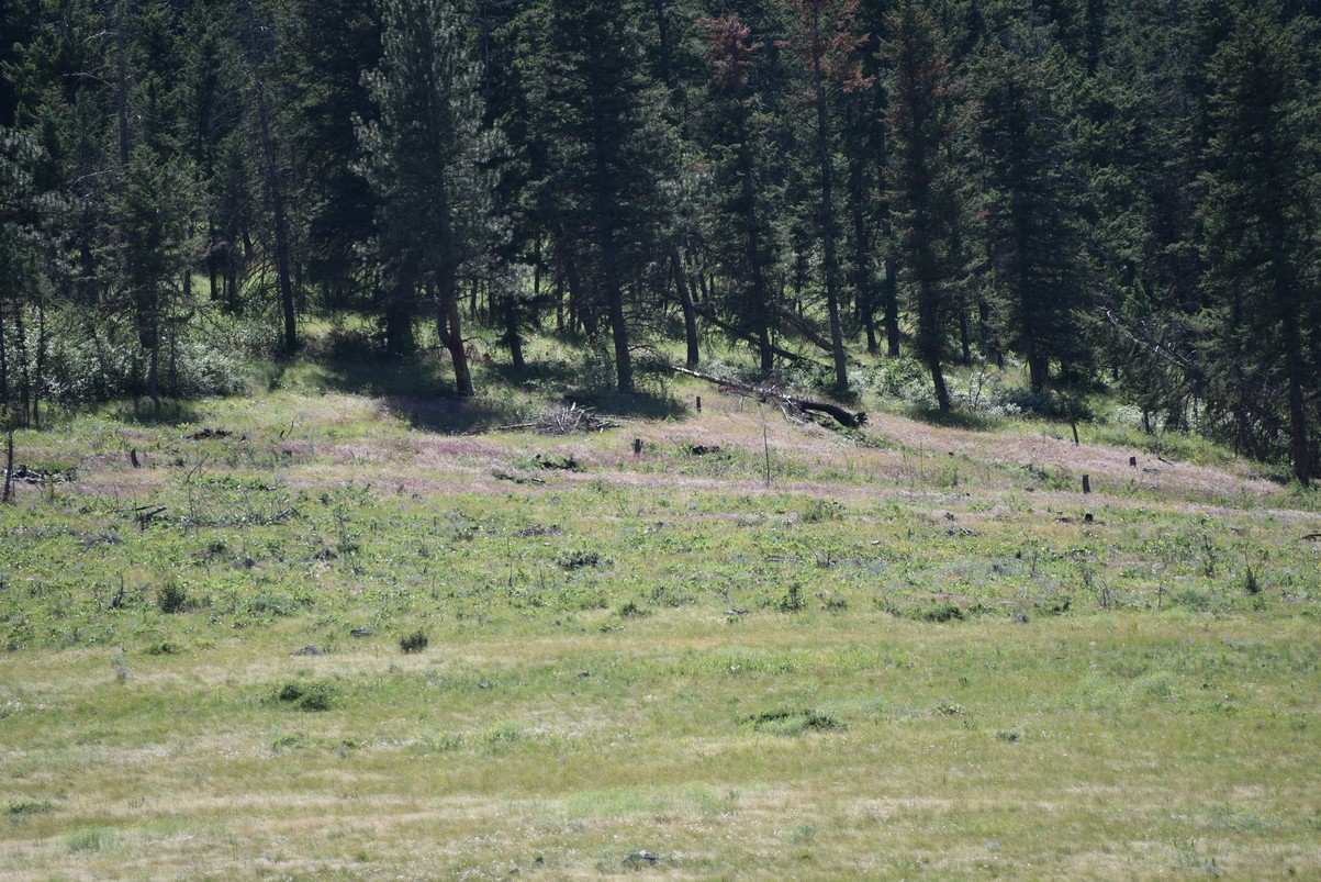 dsc_3965_fs.jpg