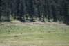 dsc_3965_fs_small.jpg