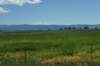 dsc_3982ninepipereservoir_small.jpg