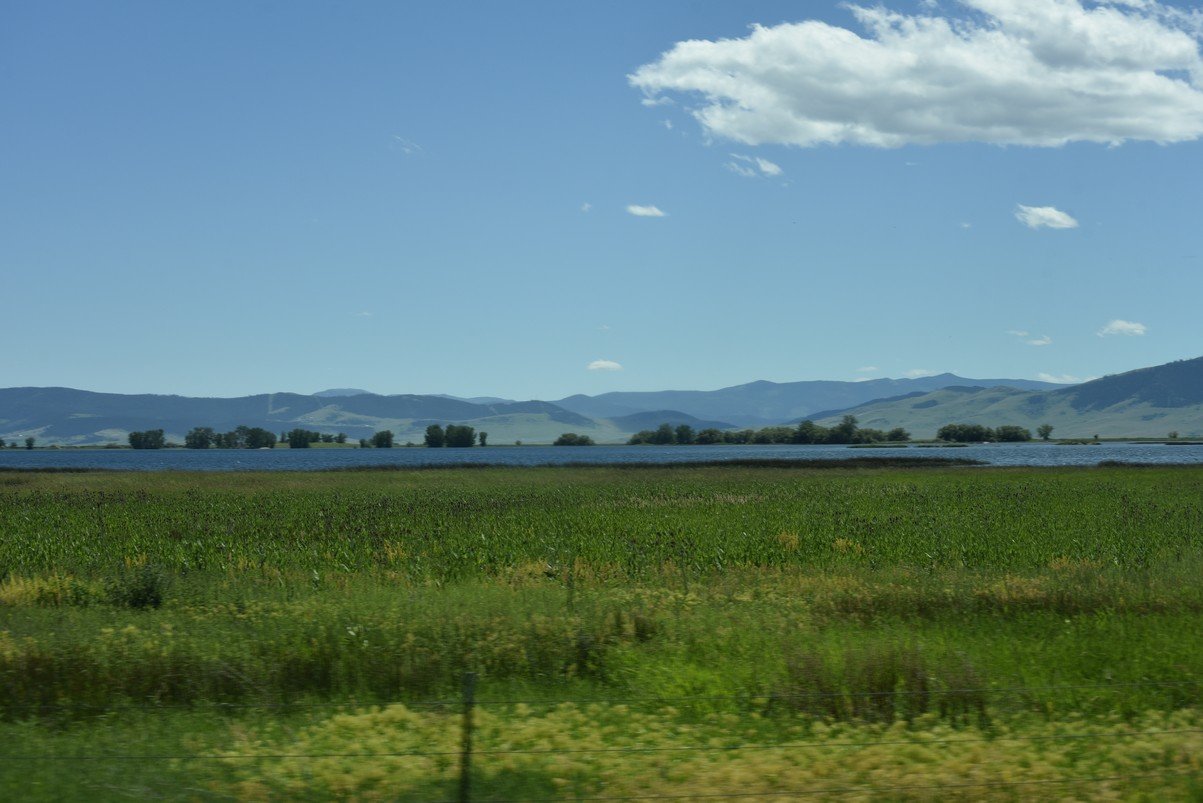 dsc_3983_fs.jpg